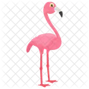 Flamingo Andean Flamingo Pink Bird Icon