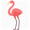 Flamingo Poultry Zoo Icon
