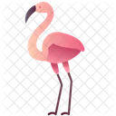 Flamingo Poultry Zoo Icon