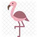 Flamingo Animal Wild Icon