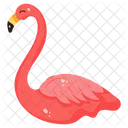 Phoenicopterus Flamingo Bird Icon