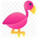 Flamingo  Ícone