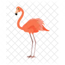 Flamingo Vector Pink Icon