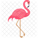 Flamingo andino  Ícone