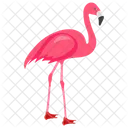 Flamingo Tropical Bird Bird Icon