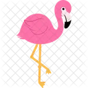 Flamingo  Icon