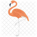 Flamingo  Icon