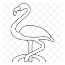 Flamingos  Icon