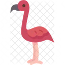 Flamingos Bird Safari Icon