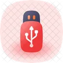 Flash disk  Icon