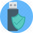 Flash Drive Usb Protection Shield Icon