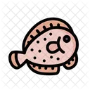 Flatfish Flounder Seafood Icon
