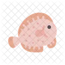 Flatfish  Icon