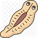 Flatworm  Icon