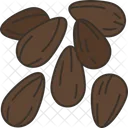 Flaxseeds  Icon