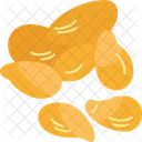 Flaxseeds  Icon