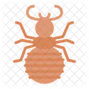 Flea Insect Bug Icon