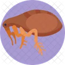 Flea Bugs Bug Icon
