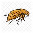 Bug Insect Animal Icon
