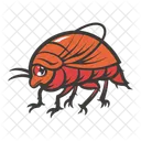 Bug Insect Animal Icon