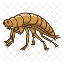 Bug Insect Animal Icon