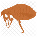 Flea Bug Tick Icon