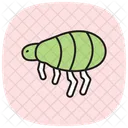 Flea Insect Jump Icon