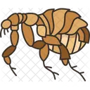 Flea Lice Plague アイコン