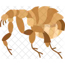 Flea Lice Plague アイコン