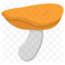 Pilz Giftpilz Speisepilz Symbol