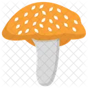 Fleischige Frucht  Symbol