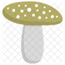 Mushroom Toadstool Edible Mushroom Icon