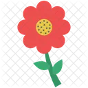 Fleur Marguerite Nature Icon