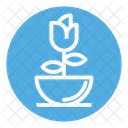 Fleur Pot Floraison Icon