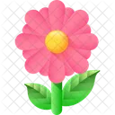 Fleur Nature Plante Icône
