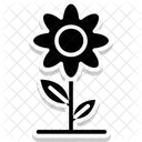 Fleur Marguerite Floral Icon