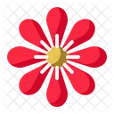 Fleur Fleur Plante Icône