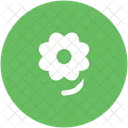 Fleur Floraison Fleur Icon