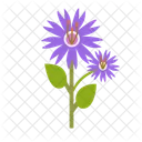 Fleur De Lavande Icône