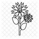 Fleur De Lavande Icône