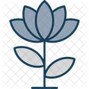 Fleur De Lotus Lotus Fleur Icon