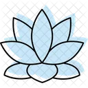 Lotus Fleur Spa Icône