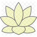 Lotus Fleur Spa Icône
