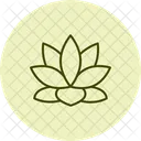 Lotus Fleur Spa Icône