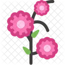 Fleur Floraison Jardin Icon