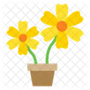 Fleurs  Icône