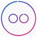 Flickr  Icon