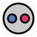 Flickr  Icon