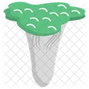 Pilz  Symbol