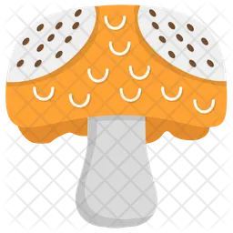 Pilz  Symbol